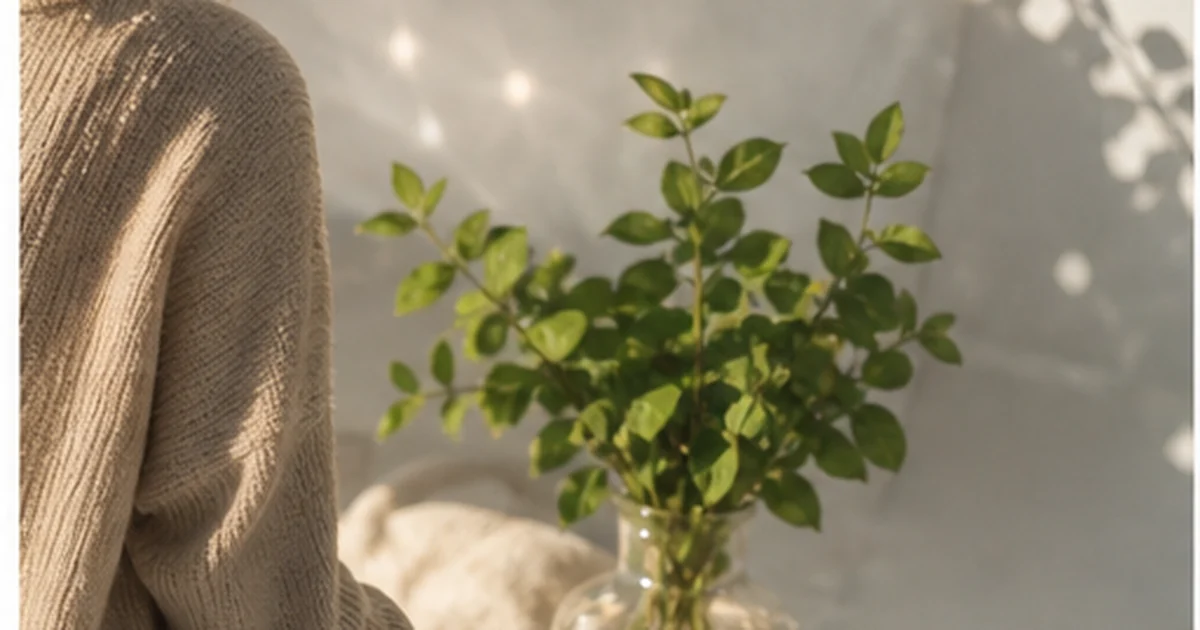 Luz suave y plantas en una escena tranquila para explicar imágenes durante la meditación